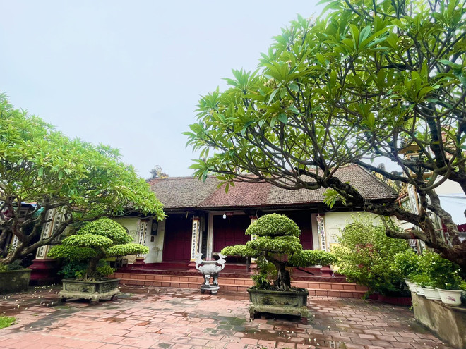 Chùa Triều Khúc mang nét đẹp vừa thanh tịnh vừa sang trọng ảnh 2