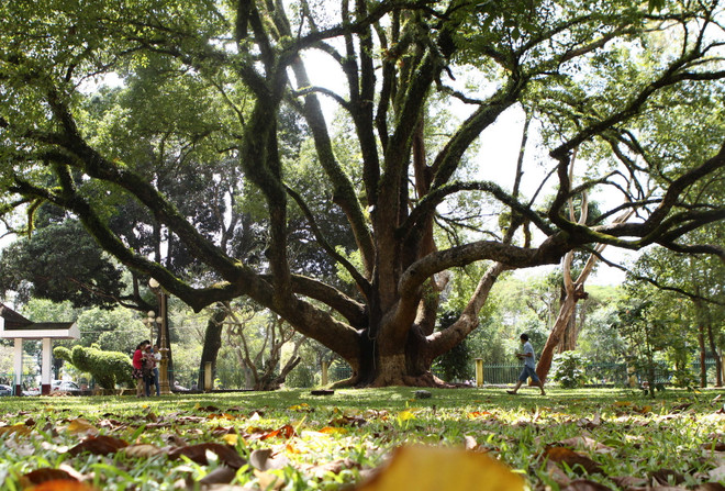 Miền Bắc trưa chiều hửng nắng, Nam Bộ có nơi có dông ảnh 1