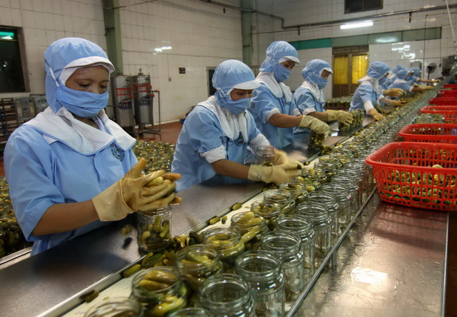 Việt Nam quảng bá các mặt hàng nông-lâm-thủy sản tại Ai Cập ảnh 1