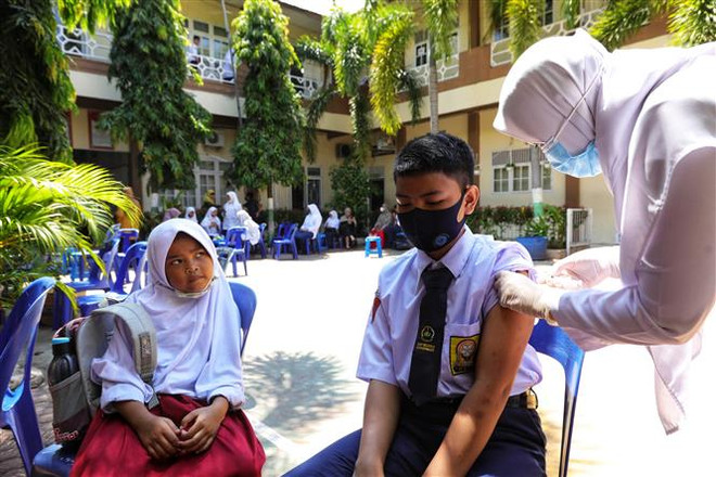Malaysia mua vaccine Pfizer cho trẻ, Indonesia giảm giá xét nghiệm PCR ảnh 1