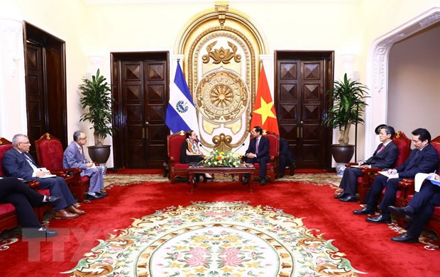 Bộ trưởng Ngoại giao Bùi Thanh Sơn hội đàm với Bộ trưởng Ngoại giao Cộng hòa El Salvador Alexandra Hill Tonoco hồi tháng 2. (Ảnh: Lâm Khánh/TTXVN) Thúc đẩy các hoạt động giao lưu nhân dân giữa Việt Nam và El Salvador ảnh 2
