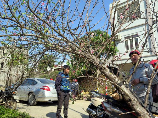 Tháng 2, Bắc Bộ và Bắc Trung Bộ có thể xảy ra 1-2 đợt rét đậm ảnh 1