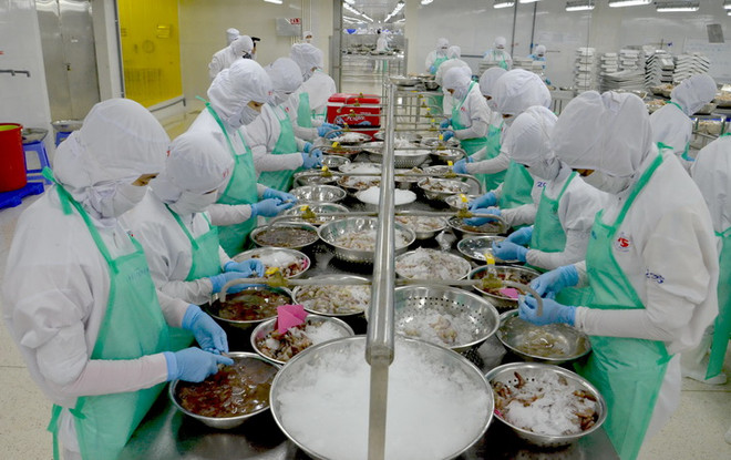 Việt Nam-Mexico có thể hợp tác trong nhiều lĩnh vực tiềm năng ảnh 1