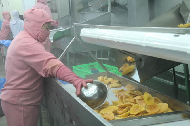 Mô hình kinh tế tuần hoàn với vai trò thúc đẩy tăng trưởng liên ngành ảnh 1