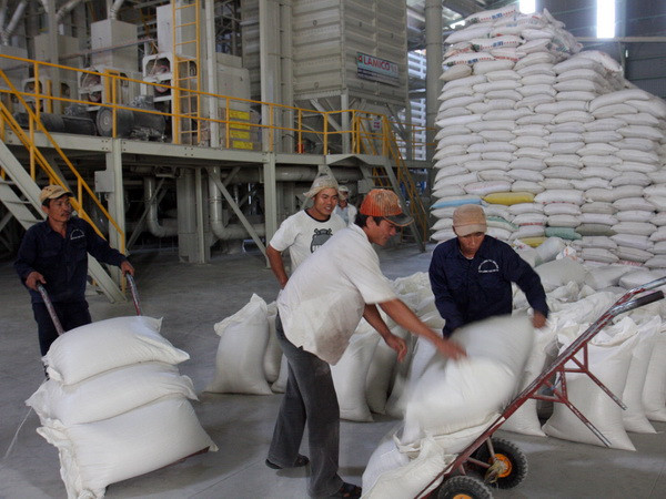 Vĩnh Long, An Giang sắp đạt chỉ tiêu mua tạm trữ lúa gạo ảnh 1