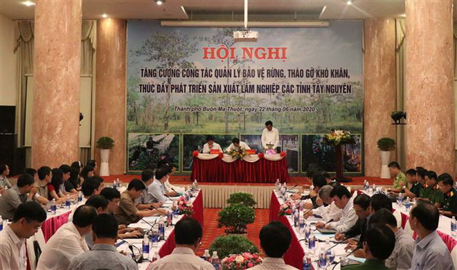 Quang cảnh Hội nghị. (Ảnh: Tuấn Anh/TTXVN) Xác định rõ trách nhiệm từng đơn vị trong bảo vệ và phát triển rừng ảnh 2