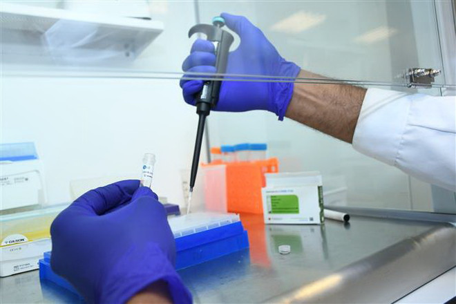 Nhiệt độ, độ ẩm, bề mặt tác động đến thời gian sống của SARS-CoV-2 ảnh 1