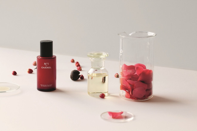 Đến làng Gaujacq thăm thủ phủ hoa trà của thương hiệu Chanel ảnh 17
