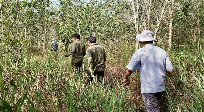Các lực lượng chức năng kiểm tra công tác phòng chống cháy rừng trên địa bàn huyện Tri Tôn, tỉnh An Giang. (Ảnh: Thanh Sang/TTXVN) Nguy cơ xảy ra cháy lớn ở tất cả các loại rừng tại tỉnh An Giang ảnh 1