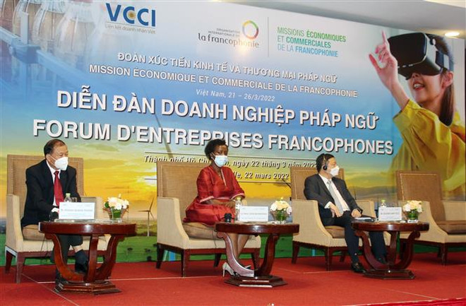 Việt Nam ủng hộ thúc đẩy hợp tác kinh tế trong không gian Pháp ngữ ảnh 2