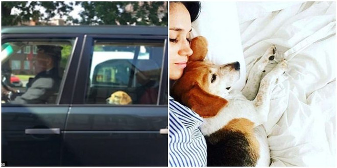 Hé lộ bức ảnh chưa từng thấy của Hoàng tử Harry và Meghan ảnh 3