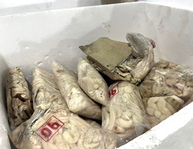 TP. HCM tạm giữ 10 tấn nội tạng lợn và thịt bò không rõ nguồn gốc ảnh 1