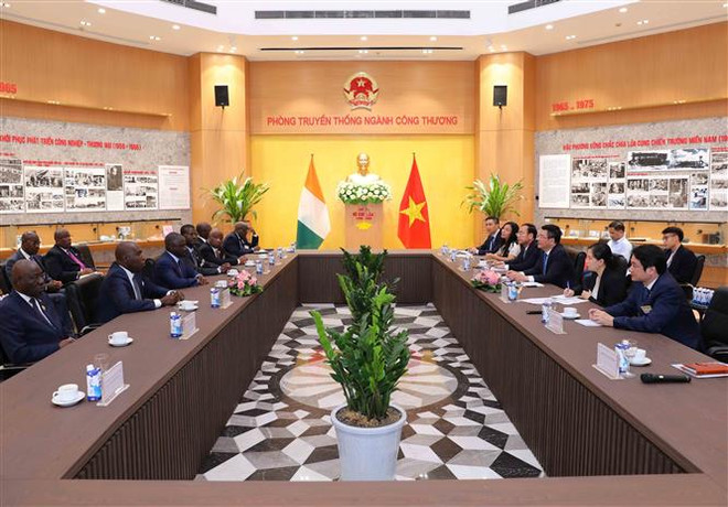 Việt Nam có thể cung ứng cho Bờ Biển Ngà các mặt hàng cần nhập khẩu ảnh 2