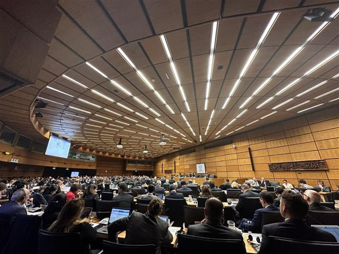 Việt Nam tái khẳng định chủ trương ủng hộ 3 trụ cột chính của IAEA ảnh 1