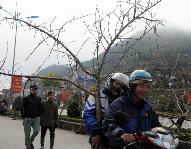 Bắc Bộ tiếp tục rét đậm và rét hại, Nam Bộ nắng nóng trên 34 độ C ảnh 1