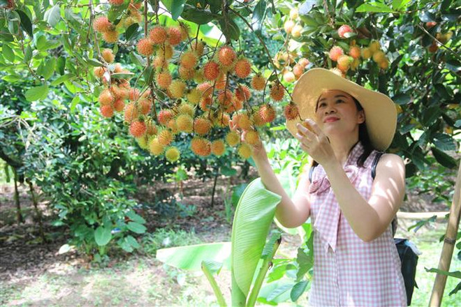 Một số địa điểm du lịch bạn nên check-in khi đến Trà Vinh ảnh 4