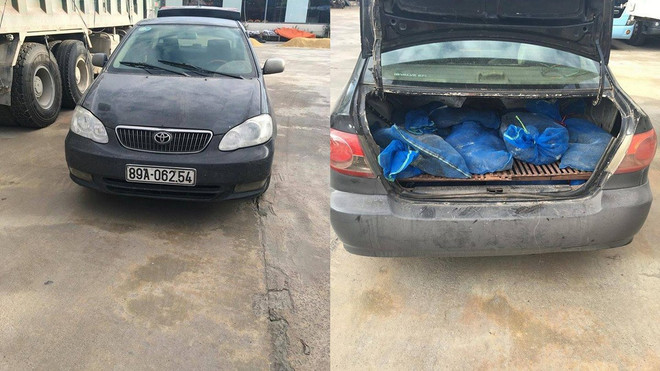 Hà Nội: Bắt giữ xe ôtô vận chuyển kỳ đà trái phép ảnh 1