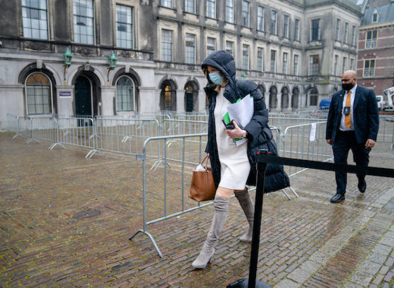 Đàm phán thành lập Chính phủ Hà Lan bị ngừng do dịch COVID-19 ảnh 1