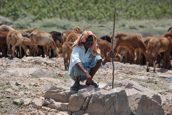 Nguy cơ xảy ra nhiều đợt nắng nóng chết người ở khu vực Nam Á ảnh 1