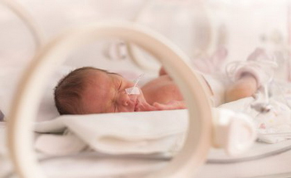 (Nguồn: uq.edu.au) Chế độ ăn nhiều rau củ trước khi mang thai giúp giảm nguy cơ sinh non ảnh 1