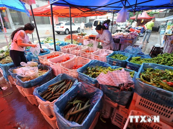 Giá xăng giảm 7 lần, cước vận tải và giá hàng tiêu dùng vẫn đứng yên ảnh 2