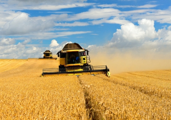 Australia thất vọng về quyết định áp thuế nông sản mới của Trung Quốc ảnh 1