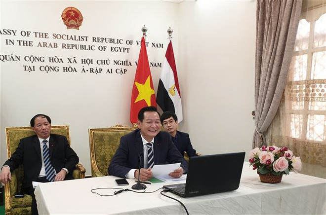 Nhiều tham luận có giá trị trong hội thảo trực tuyến về Bác tại Ai Cập ảnh 1