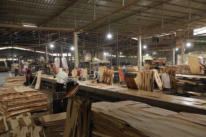 Giá trị xuất siêu nông, lâm, thủy sản tăng gấp 2 lần so với năm 2021 ảnh 2