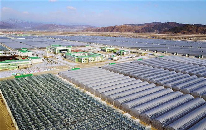 Yonhap: Kinh tế Triều Tiên sụt giảm mạnh do trừng phạt và đại dịch ảnh 1