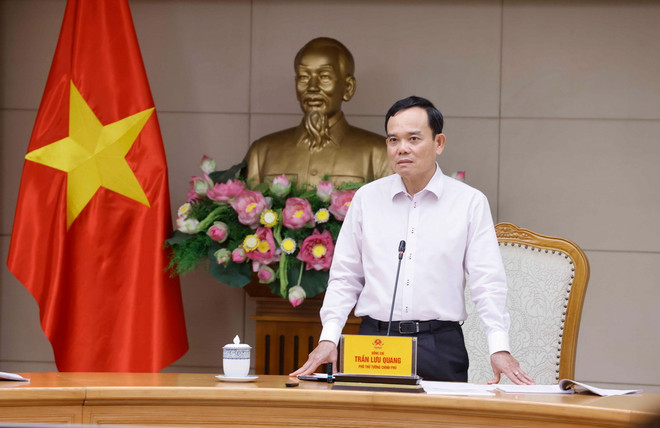 ttxvn-dau tu cong2.jpg