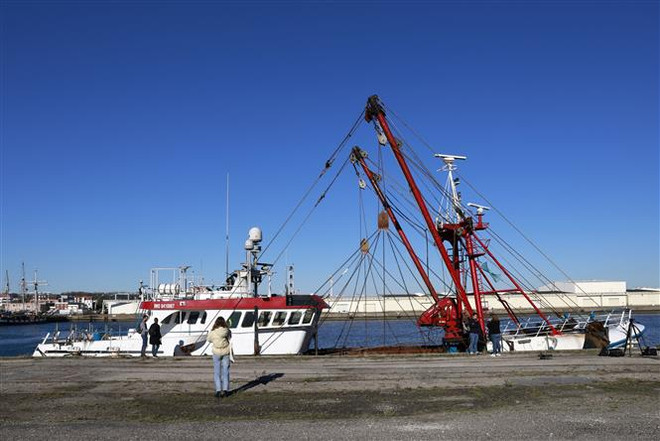 Ngư dân Pháp chặn tàu bè qua Eo biển Manche nhằm phản đối Anh ảnh 1