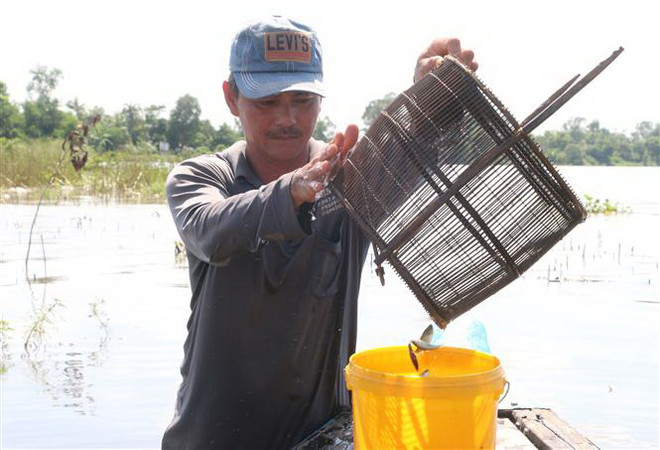 Trải nghiệm một ngày mùa nước nổi cùng ngư dân Đồng Tháp ảnh 2