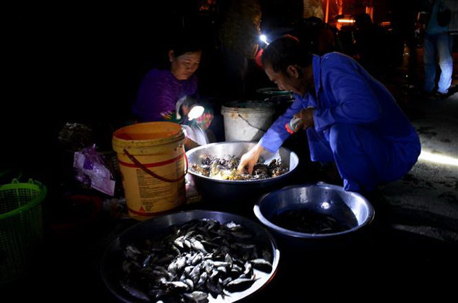 Trải nghiệm một ngày mùa nước nổi cùng ngư dân Đồng Tháp ảnh 3