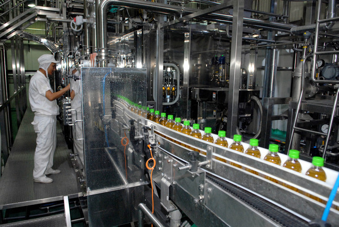 Tỉnh Bình Dương đã thu hút được gần 22 tỷ USD vốn FDI ảnh 1