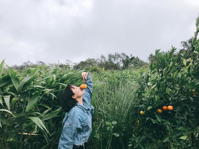 Những hoạt động giúp bạn tận hưởng từng phút giây của ngày Hè ảnh 8