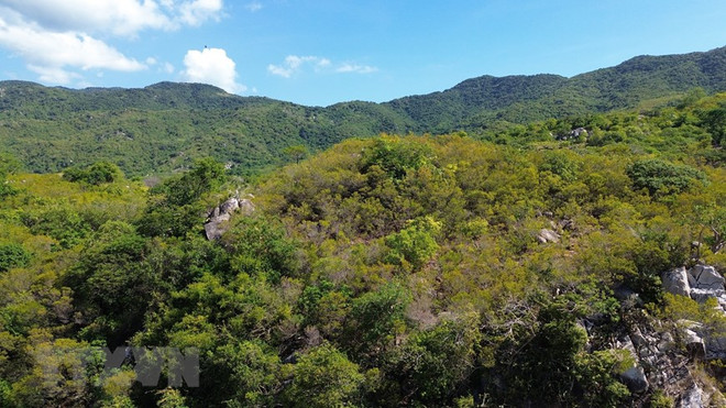 Phát triển Khu Dự trữ Sinh quyển Núi Chúa thành điểm đến hấp dẫn ảnh 1