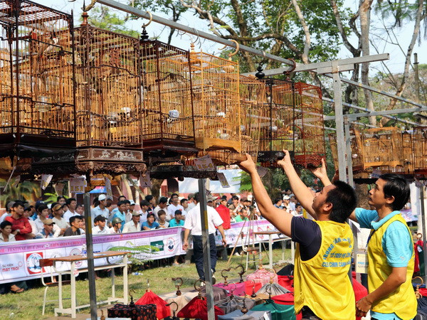 Phong phú sắc màu văn hóa tại Festival Huế 2014 ảnh 1