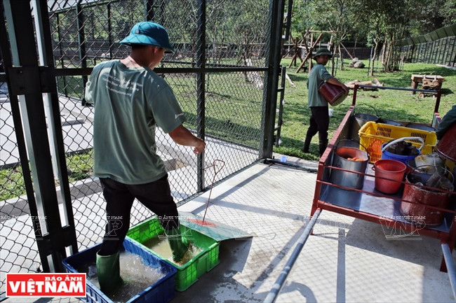 Ngôi nhà mới giúp bảo tồn loài gấu đang có nguy cơ bị tuyệt chủng ảnh 5