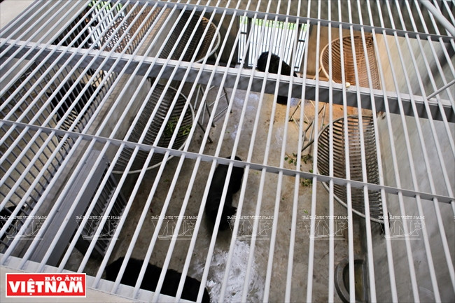 Ngôi nhà mới giúp bảo tồn loài gấu đang có nguy cơ bị tuyệt chủng ảnh 6