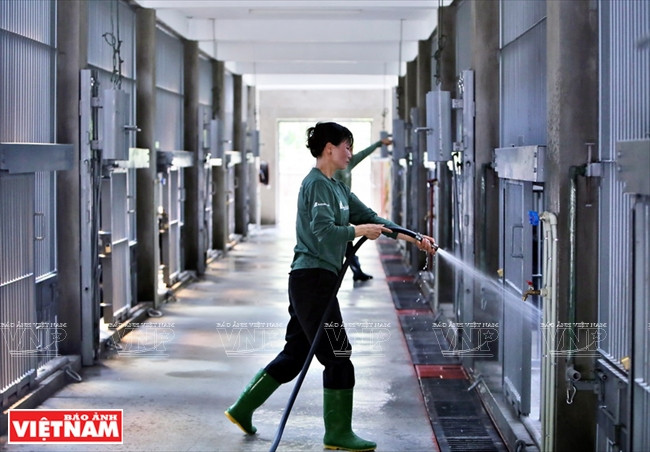 Ngôi nhà mới giúp bảo tồn loài gấu đang có nguy cơ bị tuyệt chủng ảnh 7