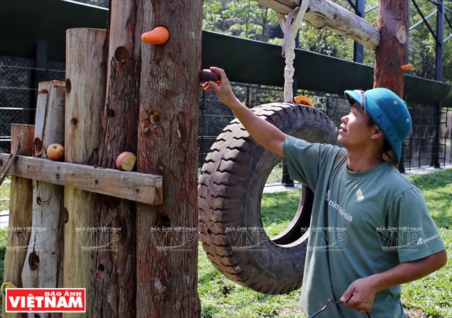 Ngôi nhà mới giúp bảo tồn loài gấu đang có nguy cơ bị tuyệt chủng ảnh 12