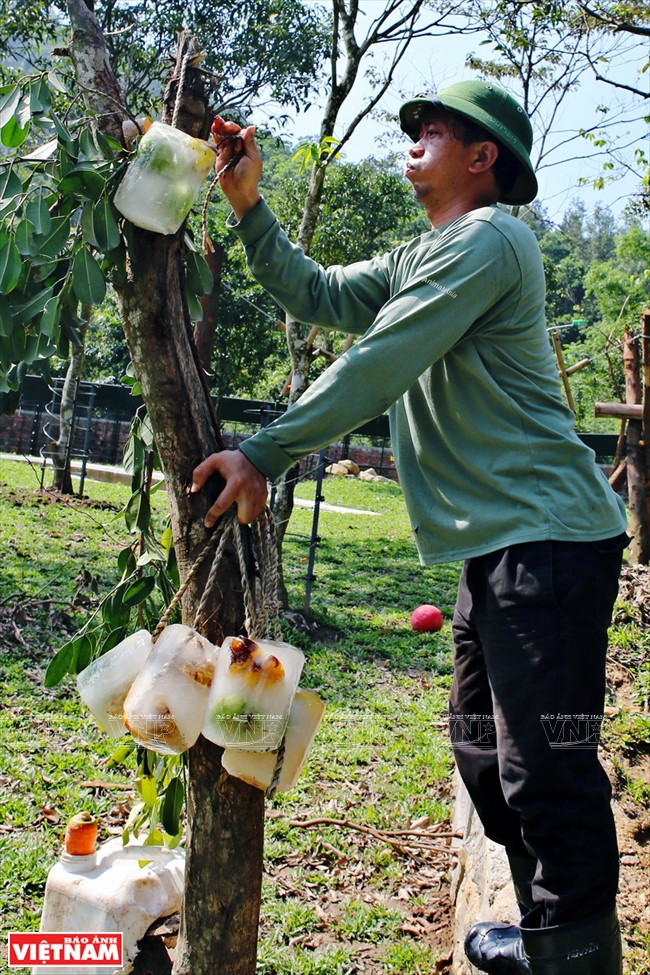 Ngôi nhà mới giúp bảo tồn loài gấu đang có nguy cơ bị tuyệt chủng ảnh 13