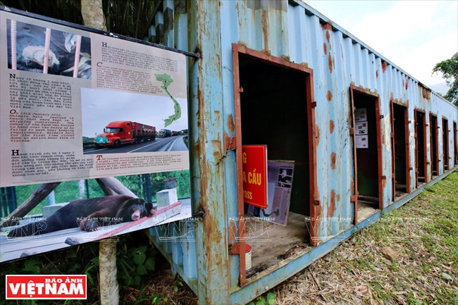 Ngôi nhà mới giúp bảo tồn loài gấu đang có nguy cơ bị tuyệt chủng ảnh 3