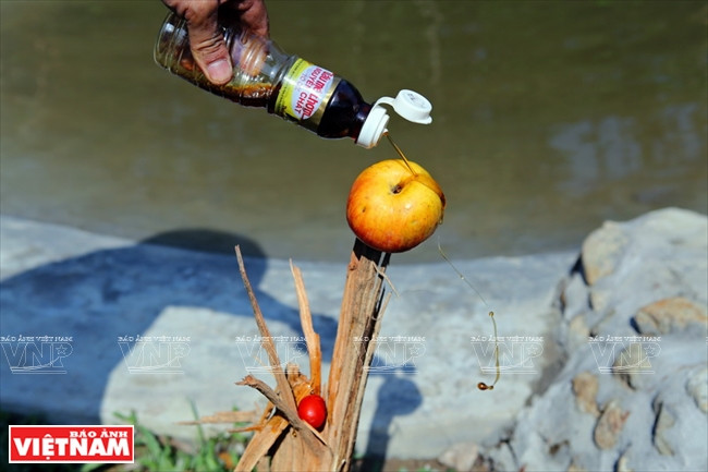 Ngôi nhà mới giúp bảo tồn loài gấu đang có nguy cơ bị tuyệt chủng ảnh 16