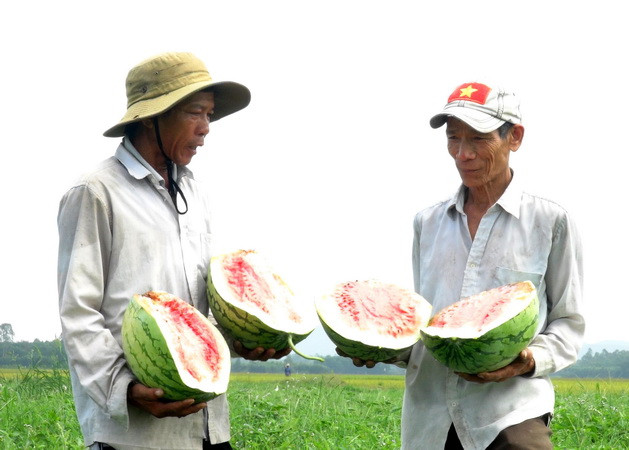 Bài toán tìm đầu ra giúp các mặt hàng nông sản thoát ế ảnh 1