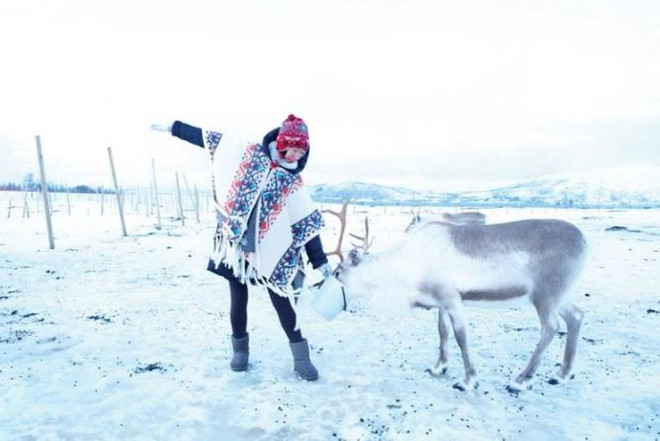 Hành trình đi săn Mặt Trời đêm tại vùng cực bắc Na Uy ảnh 4