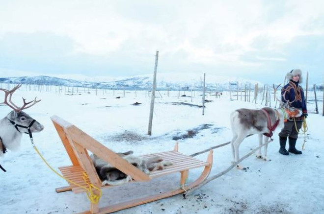Hành trình đi săn Mặt Trời đêm tại vùng cực bắc Na Uy ảnh 5