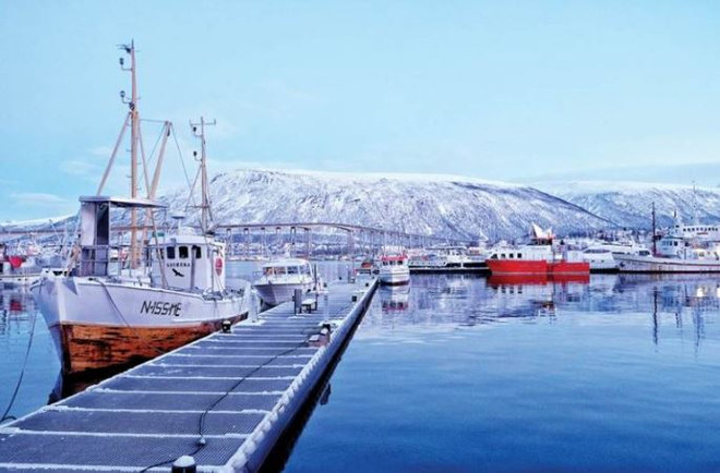 Hành trình đi săn Mặt Trời đêm tại vùng cực bắc Na Uy ảnh 1