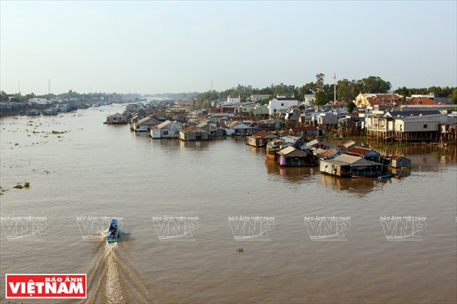 Làng nuôi cá bè trên sông Châu Đốc và cũng là địa điểm du lịch hấp dẫn của thành phố Châu Đốc Cuộc sống ấm no, bình yên và thắm tình người nơi biên giới An Giang ảnh 10