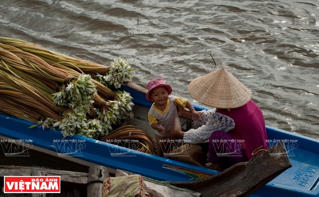 Bông súng, một loại rau đặc sản của người An Giang, thường có nhiều vào mùa nước nổi Cuộc sống ấm no, bình yên và thắm tình người nơi biên giới An Giang ảnh 14